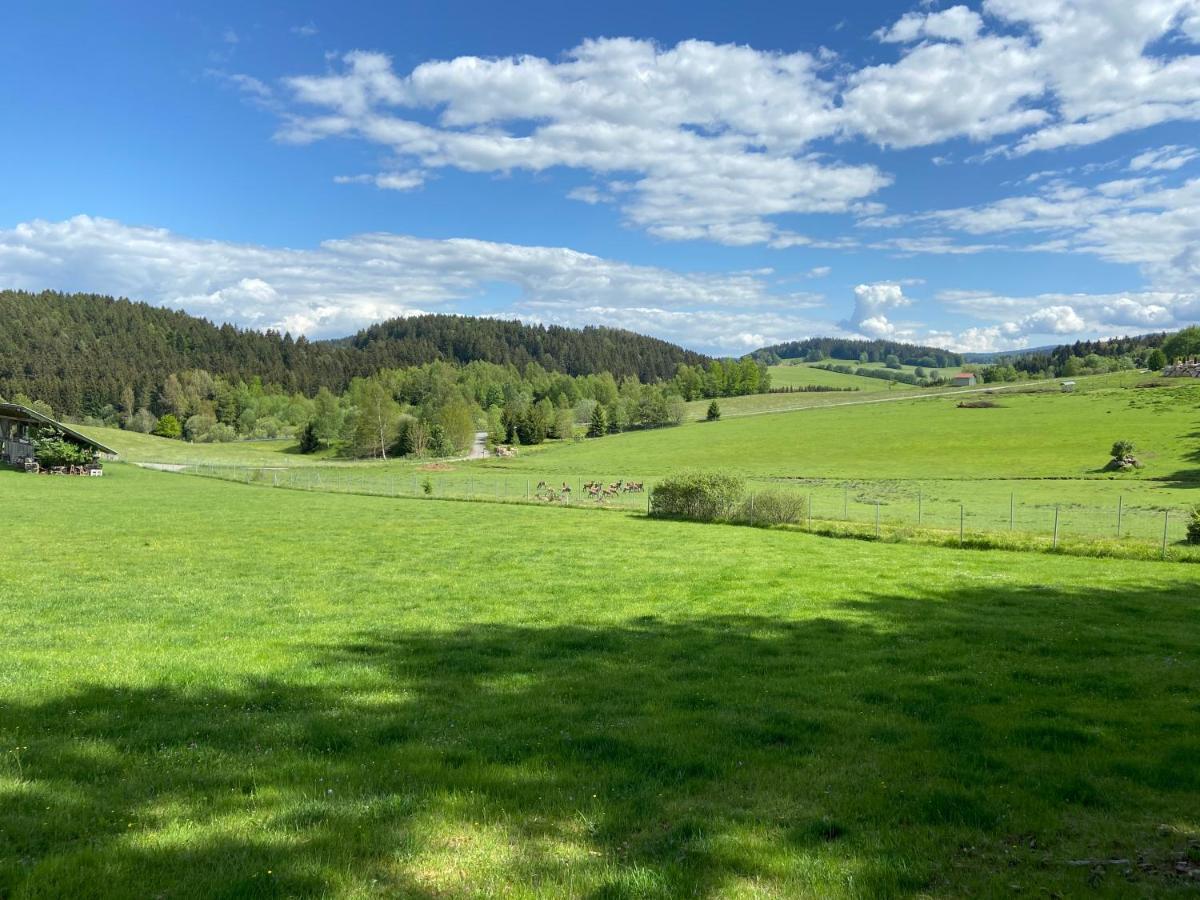 Ferienhaus Plattenstein Kirchberg  エクステリア 写真
